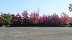 DSC_0608 (2500x1406).jpg